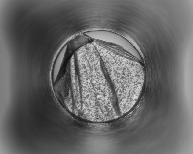 X0000095951197200802081251