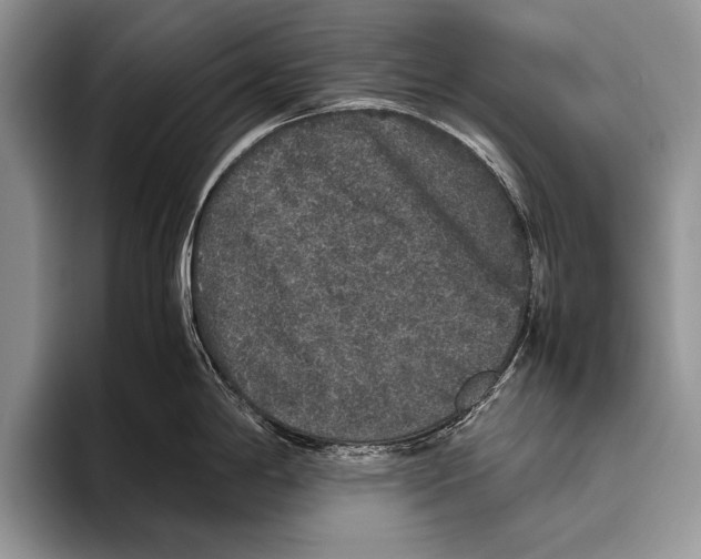 X0000095951198200802081251