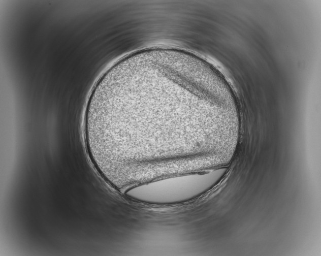 X0000095951199200802081251