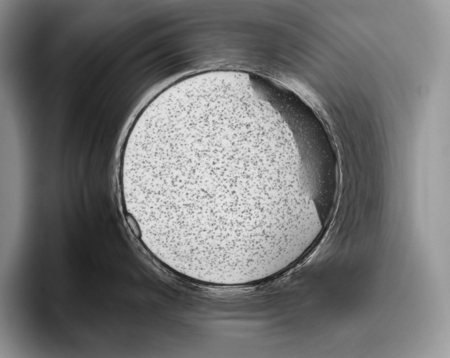 X0000095951200200802081251