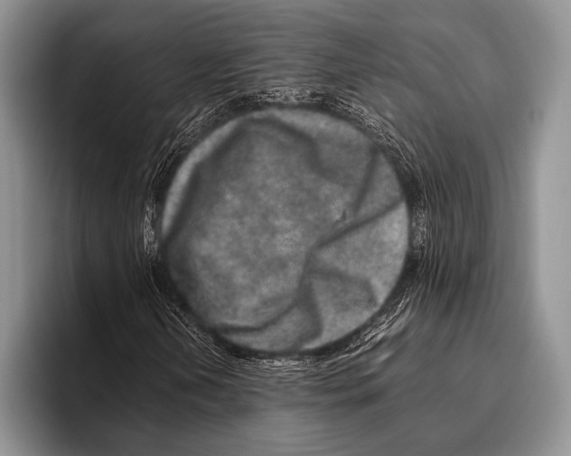 X0000095951202200802081250