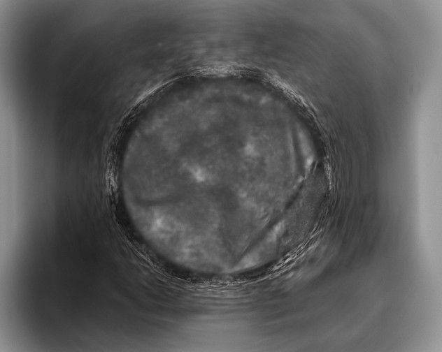 X0000095951206200802081250