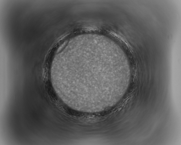 X0000095951207200802081250