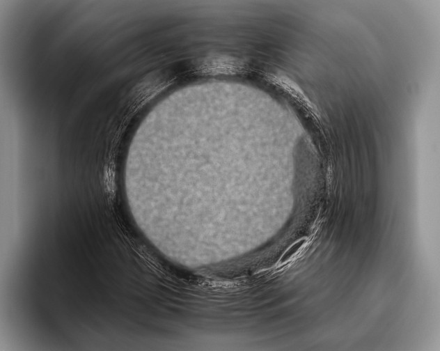 X0000095951209200802081250