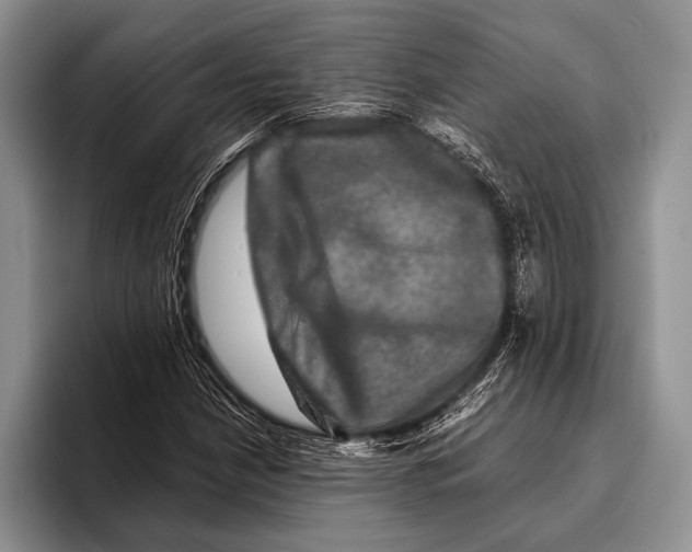 X0000095951210200802081250