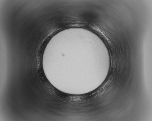 X0000095951211200802081250