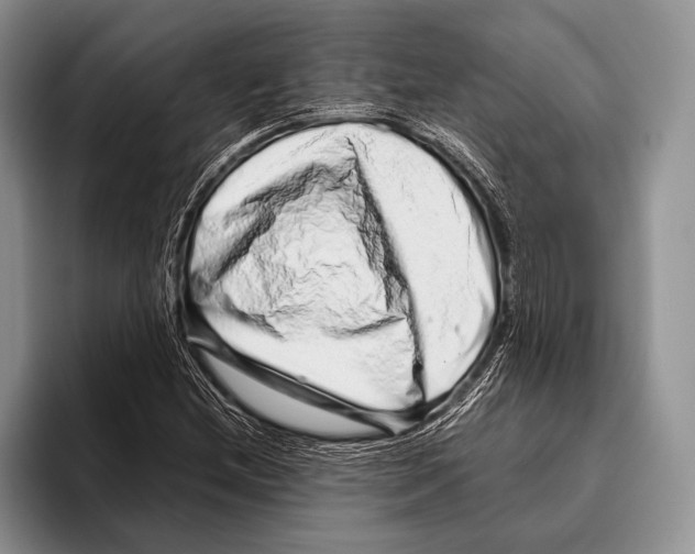 X0000095951212200802081250