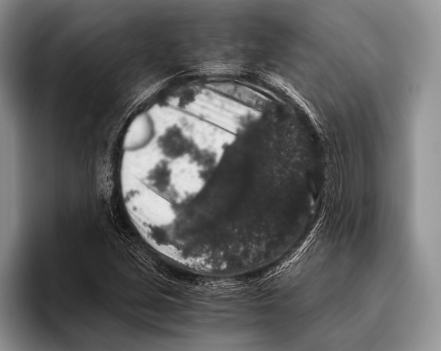 X0000095951213200802081250