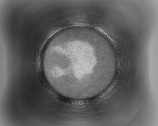 X0000095951215200802081250