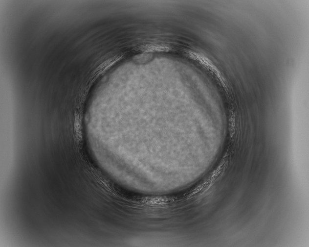 X0000095951217200802081250