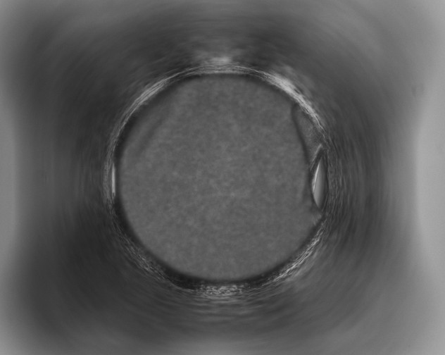 X0000095951221200802081250