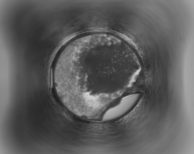 X0000095951223200802081251