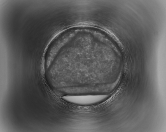 X0000095951224200802081251