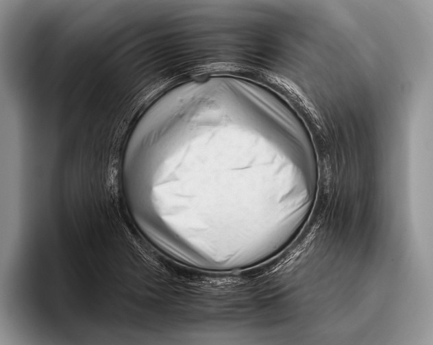 X0000095951225200802081251