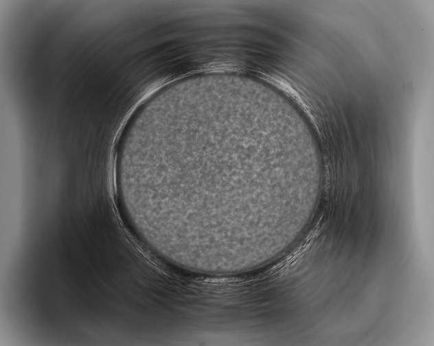 X0000095951227200802081251