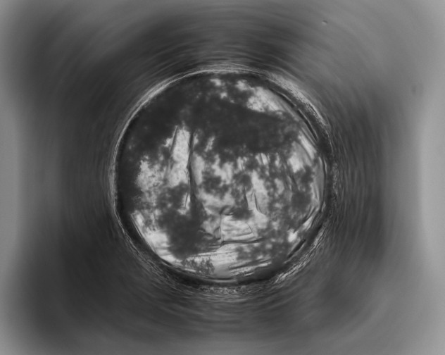 X0000095951229200802081251