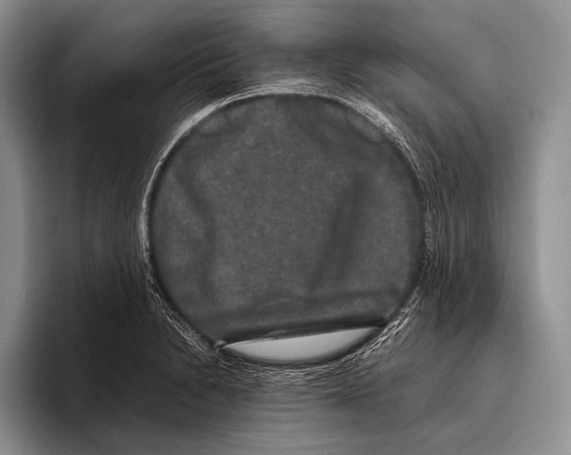 X0000095951230200802081251