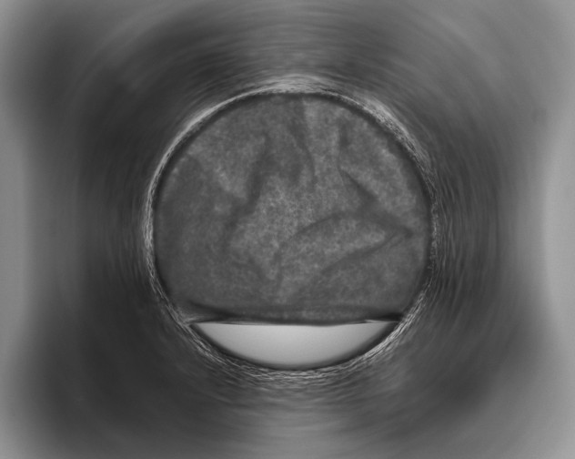 X0000095951232200802081251