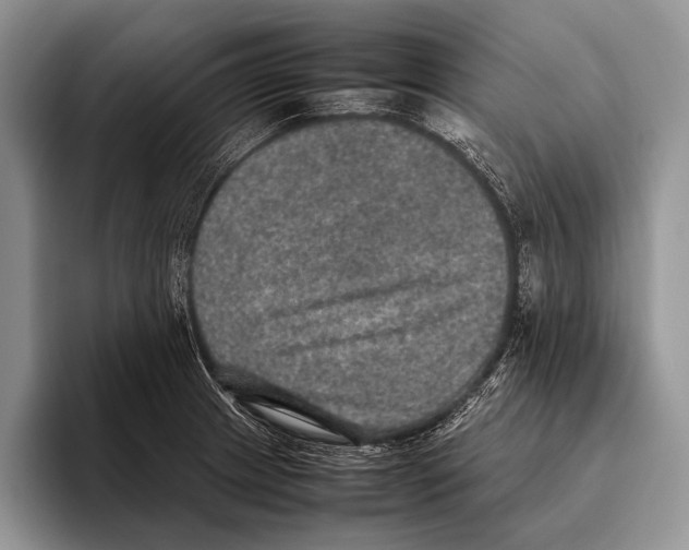 X0000095951233200802081251