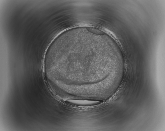 X0000095951236200802081251