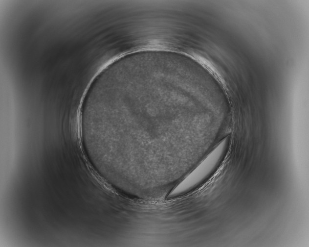 X0000095951238200802081251