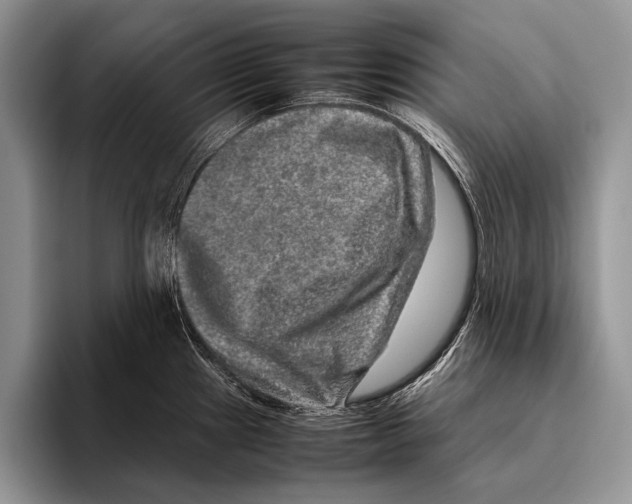 X0000095951241200802081251