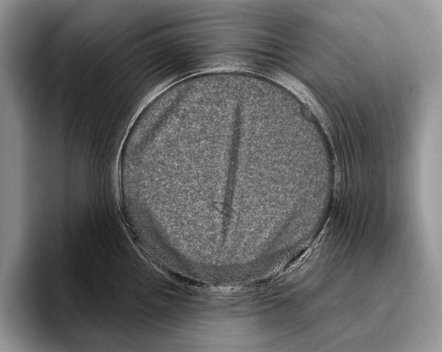 X0000095951242200802081251