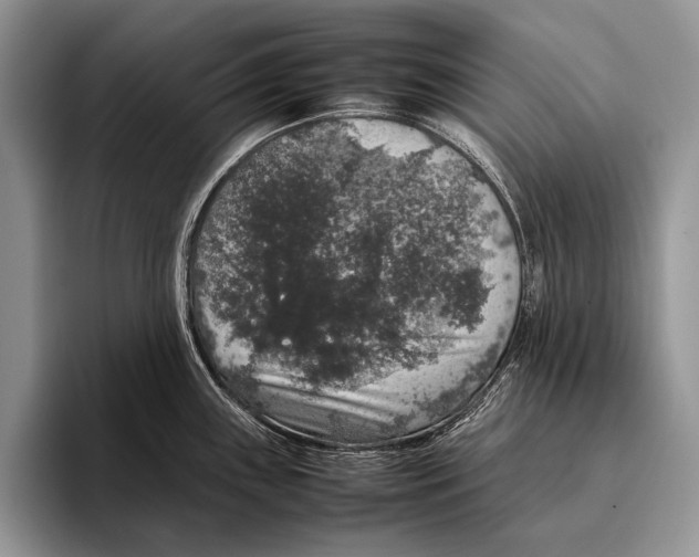 X0000095951243200802081251