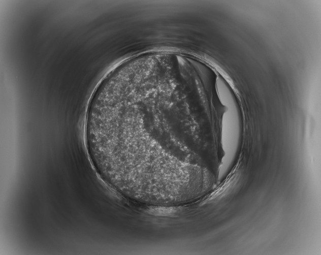 X0000095951245200802081251