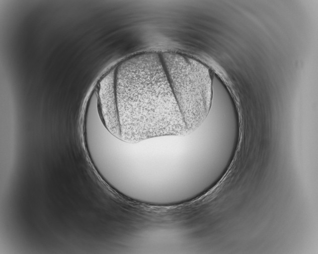 X0000095951248200802081251