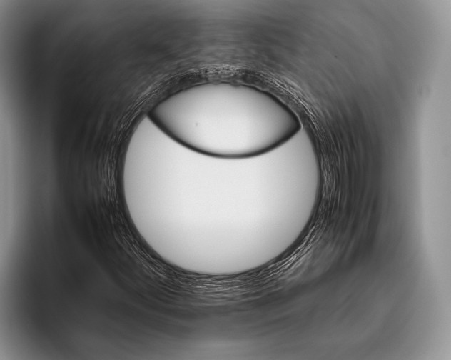 X0000095951252200802081250