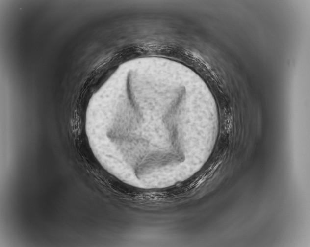 X0000095951253200802081250