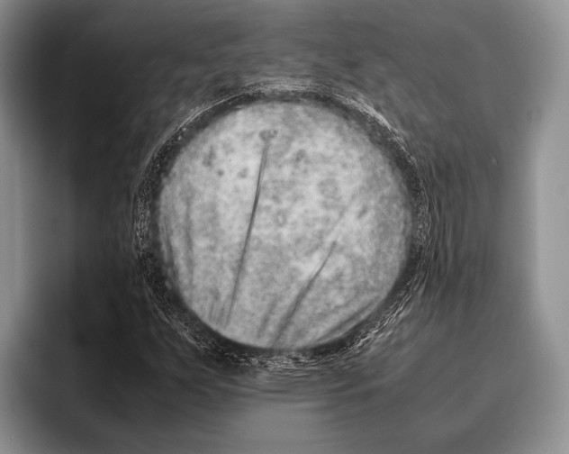 X0000095951255200802081250