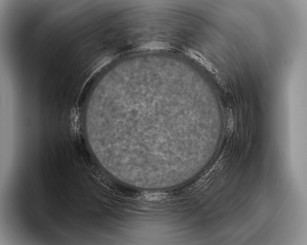 X0000095951258200802081250