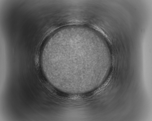 X0000095951259200802081250