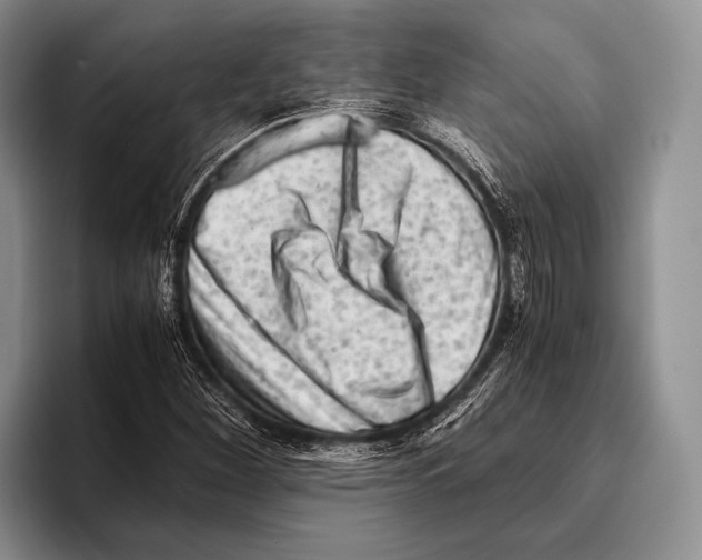 X0000095951260200802081250