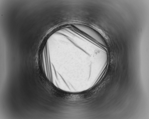 X0000095951264200802081250