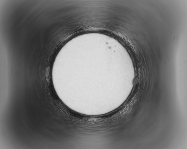 X0000095951265200802081250