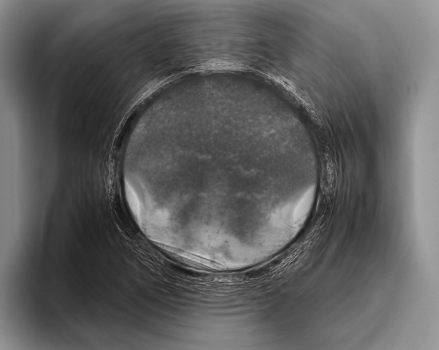 X0000095951266200802081250