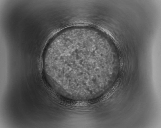 X0000095951267200802081250