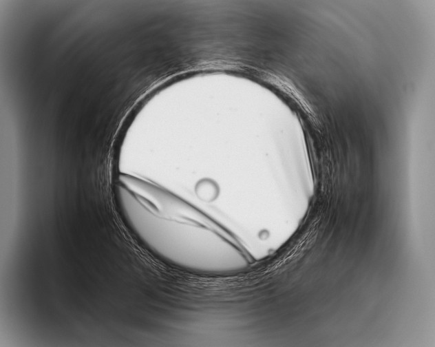 X0000095951268200802081250