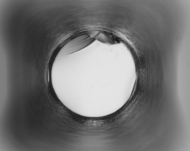 X0000095951269200802081250