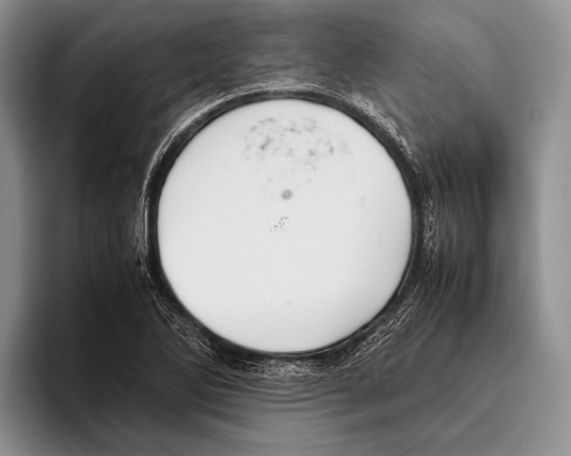 X0000095951270200802081250