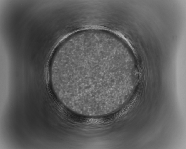 X0000095951271200802081250