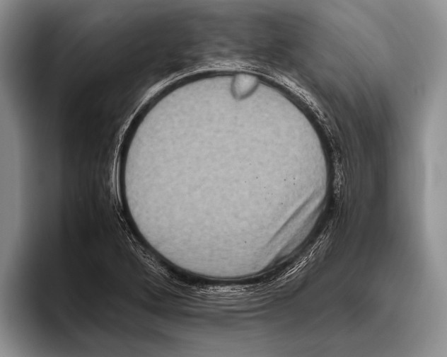 X0000095951272200802081250