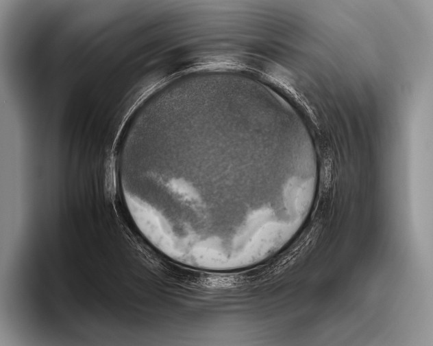 X0000095951274200802081250