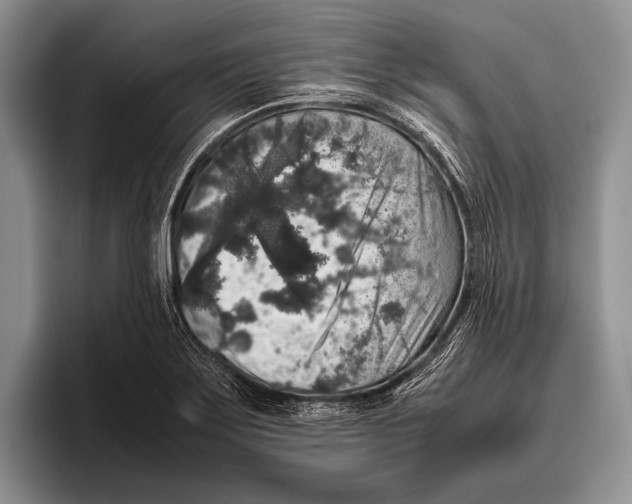 X0000095951275200802081250