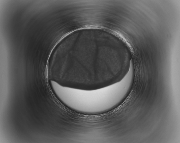 X0000095951276200802081250