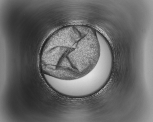 X0000095951277200802081250