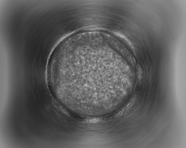 X0000095951278200802081250